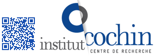 2019-03/logo-institut-cochin.jpg