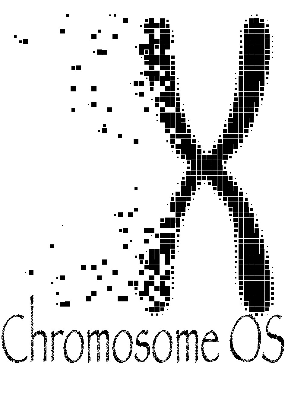 2019-03/sponsor_chromosomeos.jpg