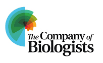 2019-04/the-company-of-biologists.jpg