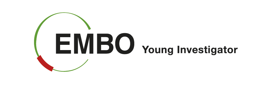 2019-09/1567414163_embo_young-investigator-copy1.png