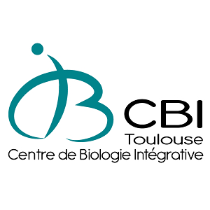2021-02/cbi-logo.jpg