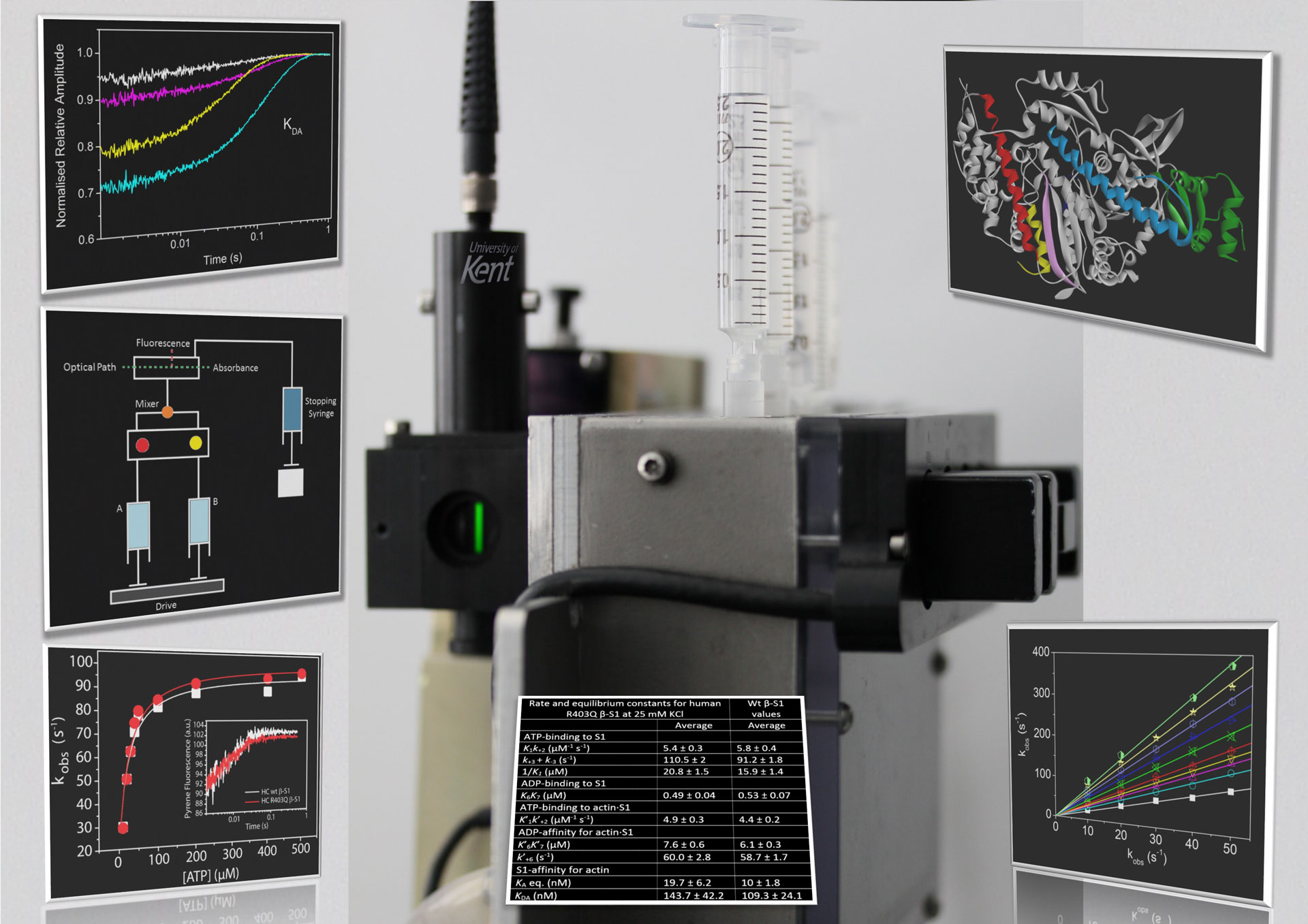 The application of methods to dynamic biological systems