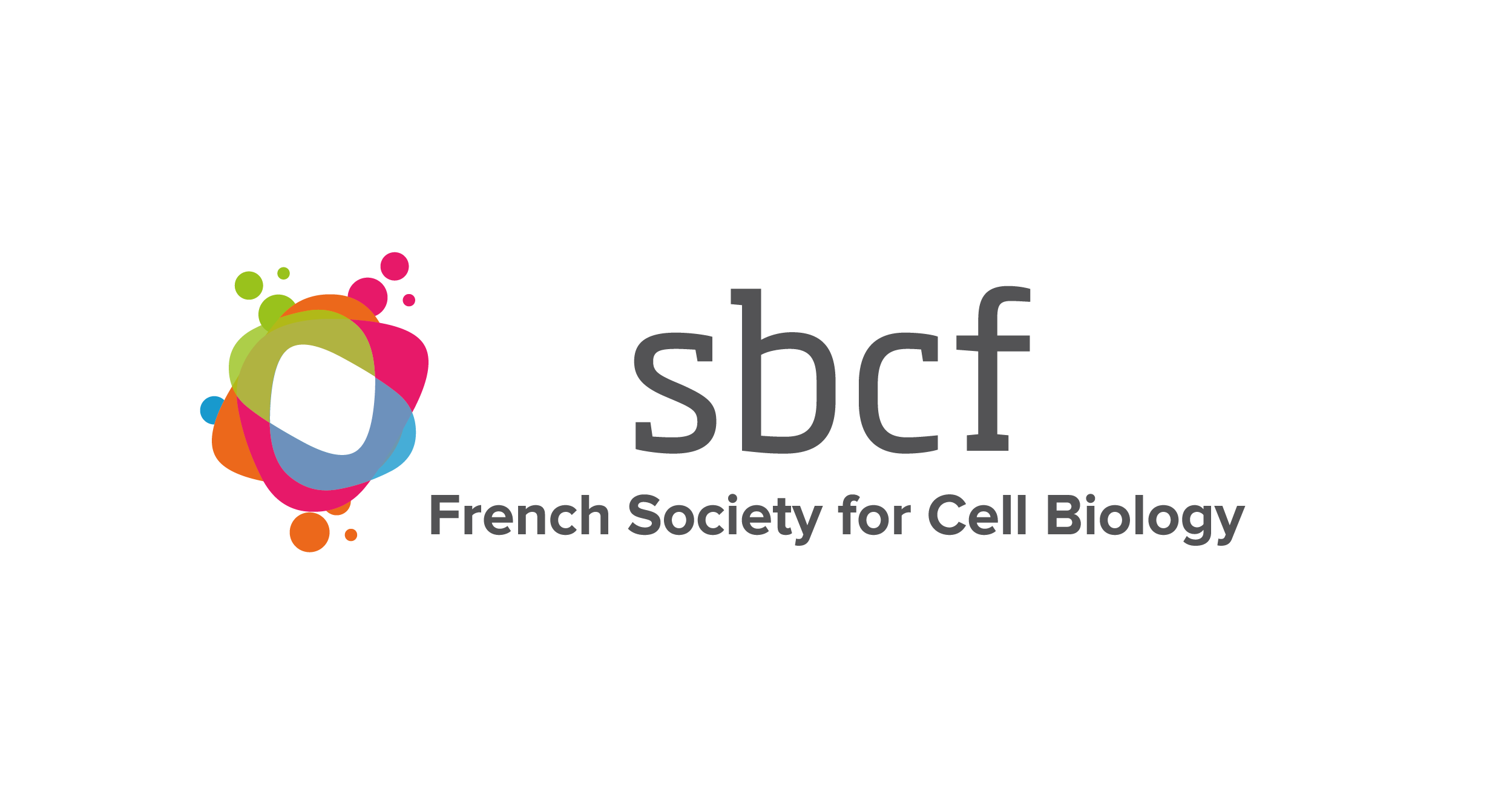 2016-12/logo-sbcf---en.png
