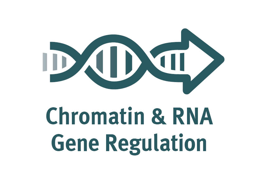 2017-07/rna_chromatin.icore.logo.jpg