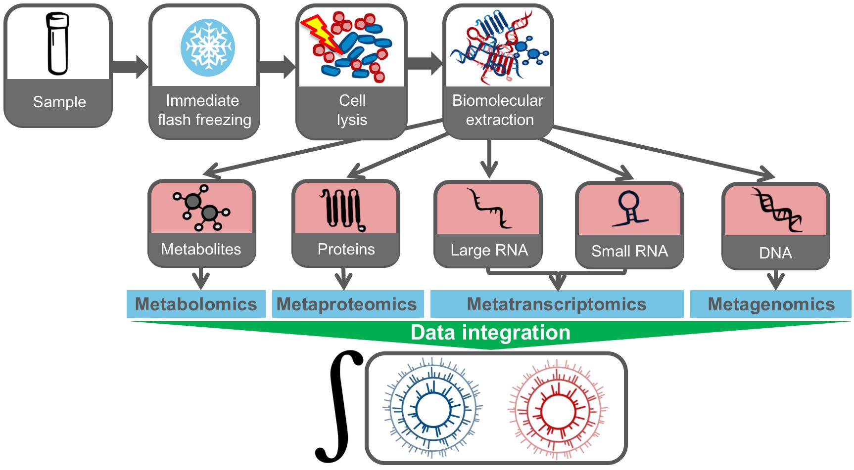 Integrated Multi omic Analyses Of Microbial Communities