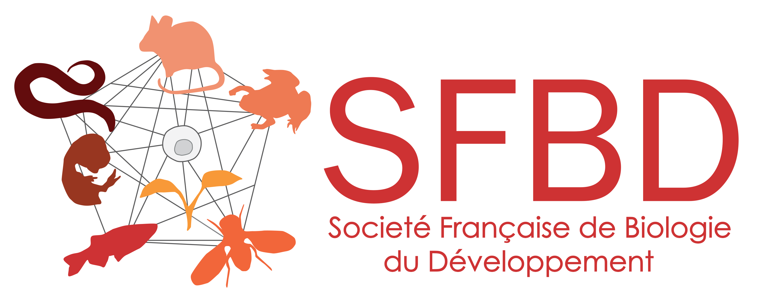 2020-01/logo-sfbd.png