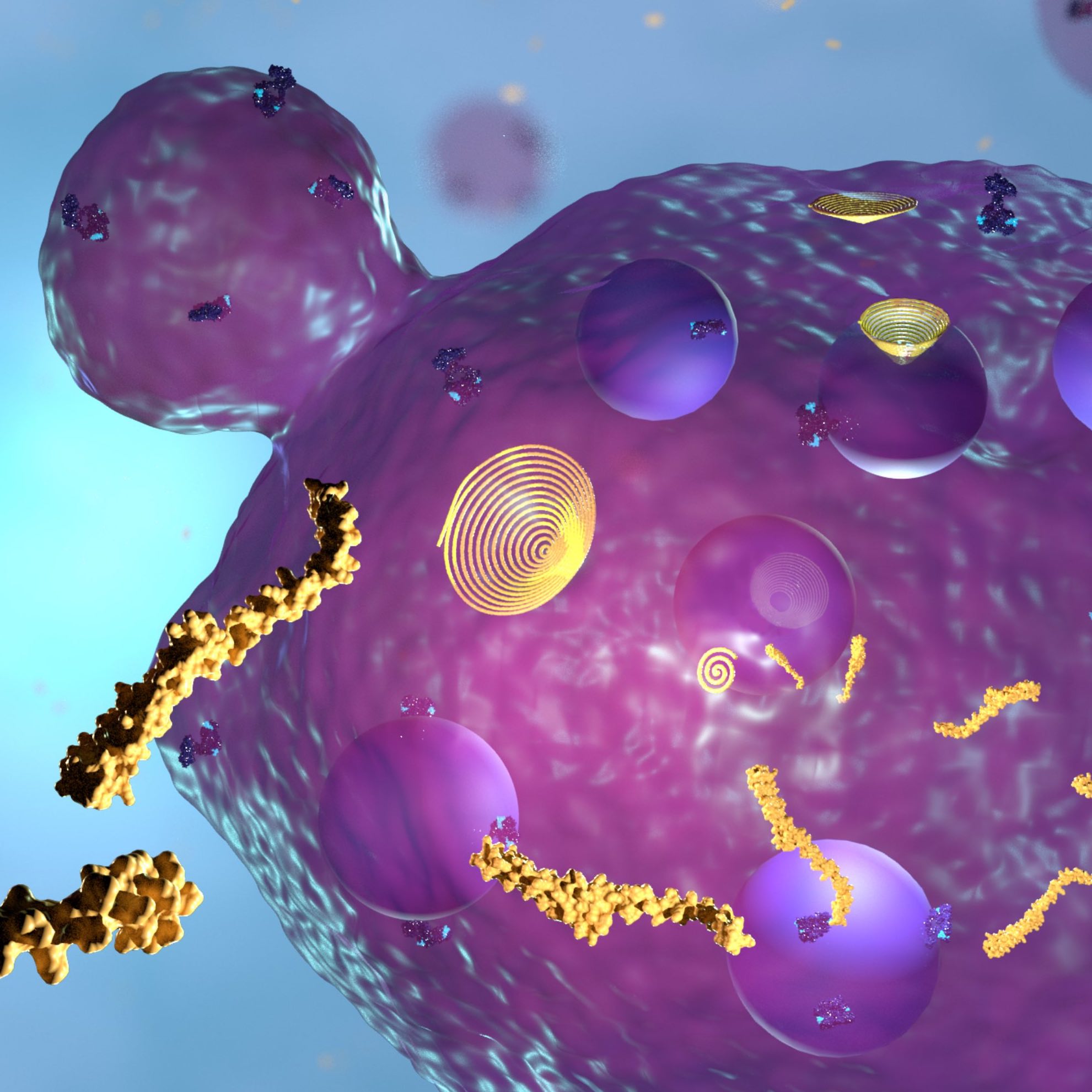 Cell Polarity And Membrane Dynamics