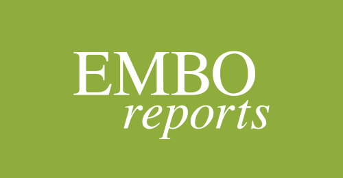 2021-09/embo-reports.jpg