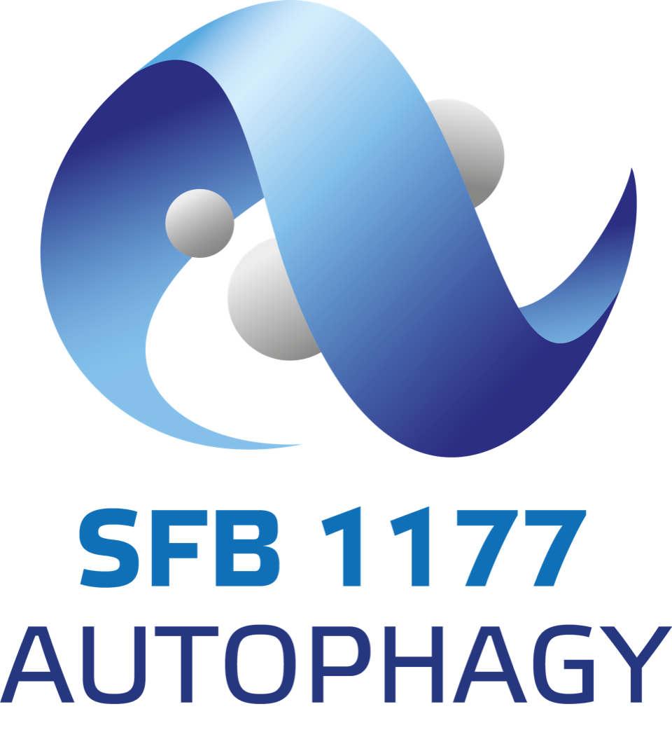 2022-04/sfb1177_logo_final.png
