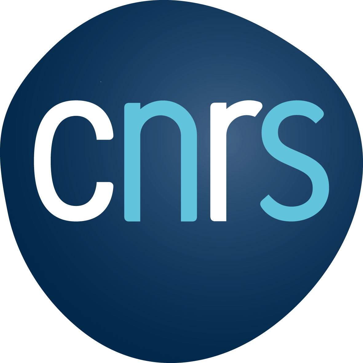 2022-06/logo_cnrs_2019_rvb.png