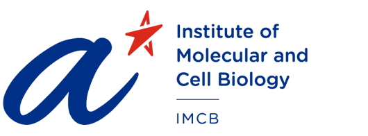 2022-07/22.-institute-of-molecular-and-cell-biology-(imcb).png