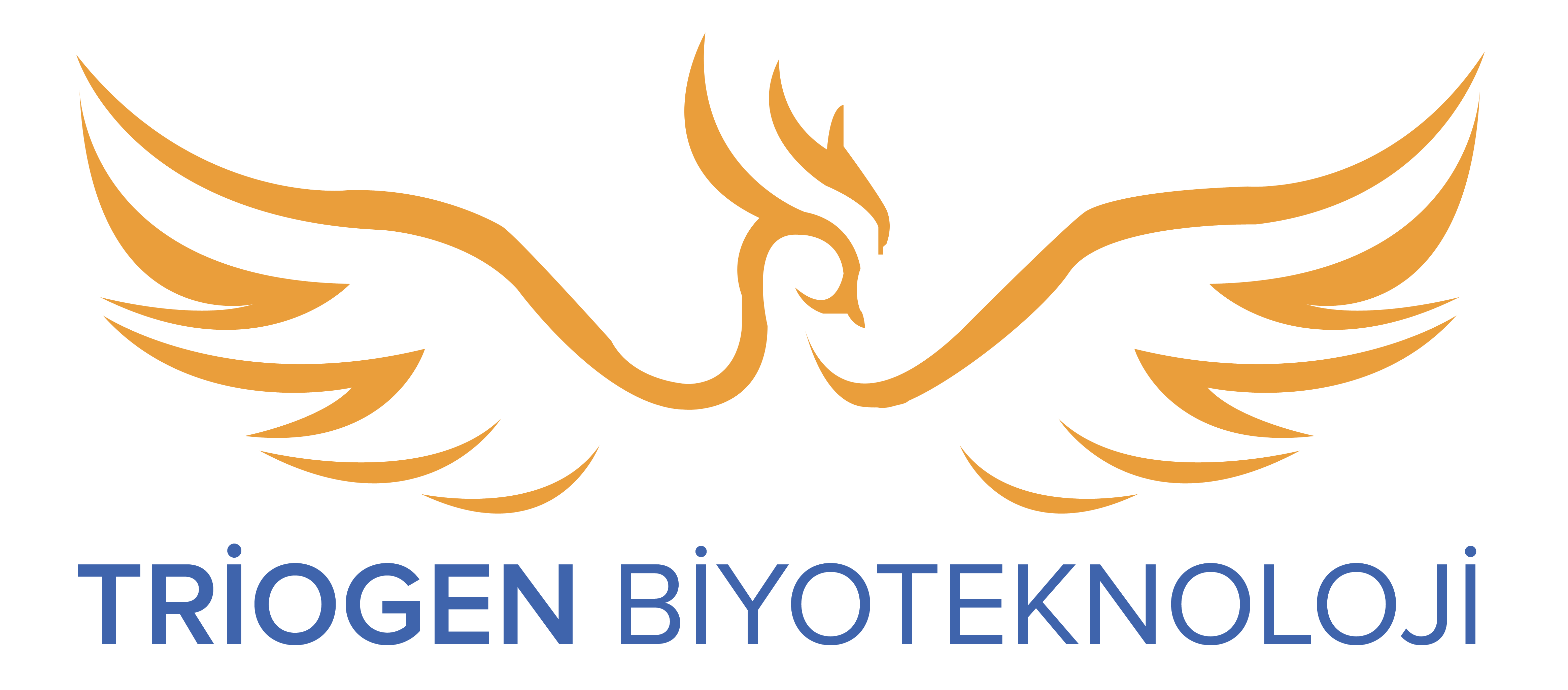 2023-09/dikdortgen-logo.png
