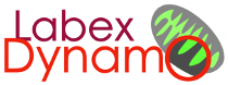 2023-11/labex-dynamo-logo.png