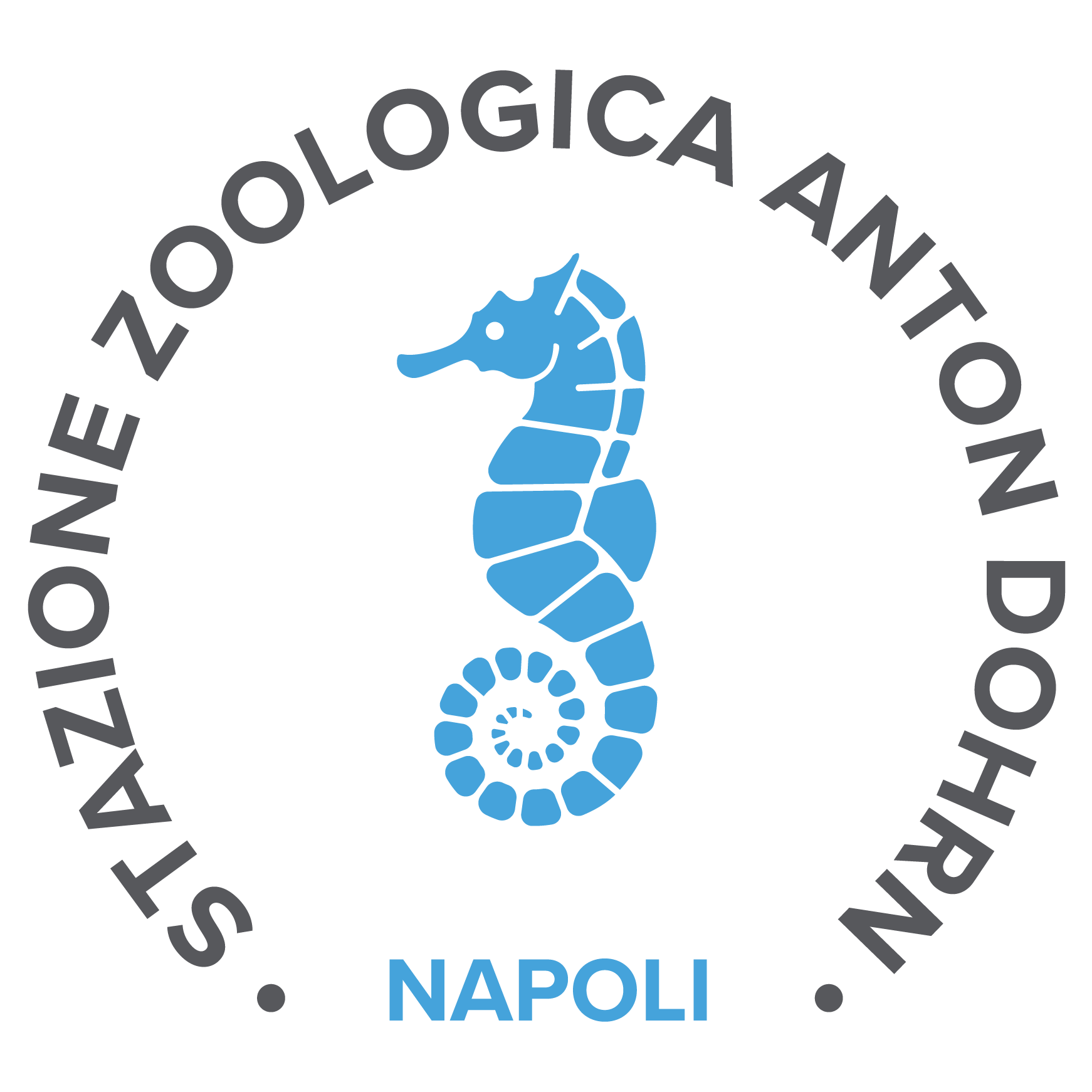 2023-12/logo-szn-napoli.png