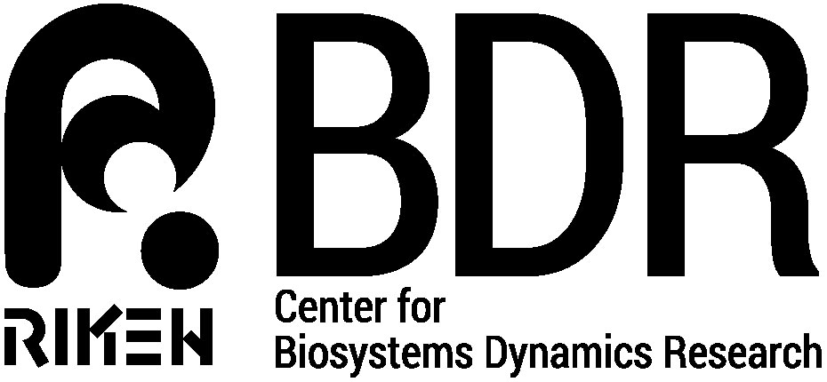 2024-05/riken-center-for-biosystems-dynamics-research.jpg