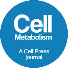 2024-08/cell-metabolism.jpeg