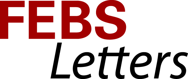 2024-11/febs_letters_sponsor_logo.jpg