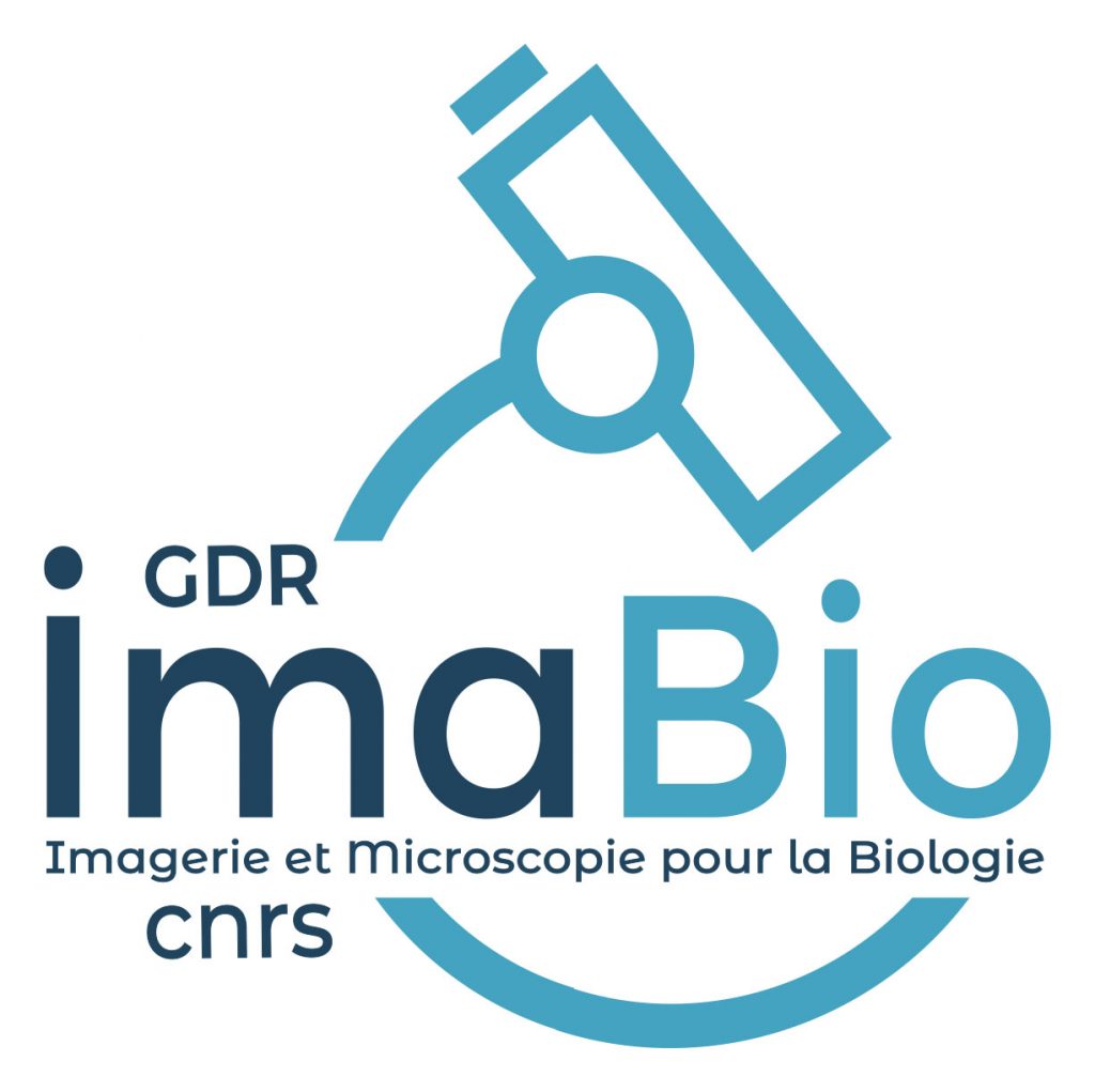 2024-11/logo-imabio-2024-1024x1021.jpg