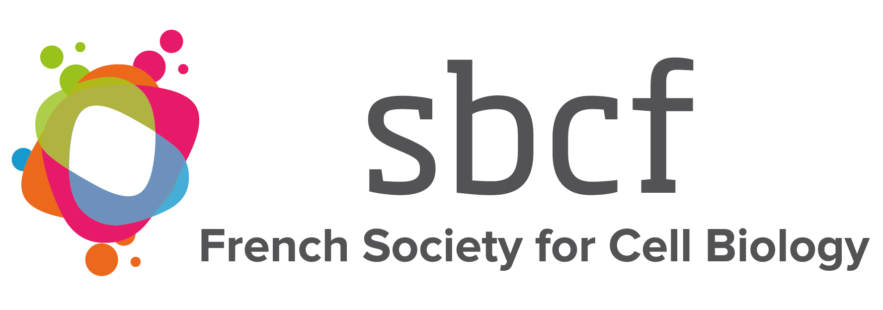 2025-01/1737129261_logo-sbcf---en.png