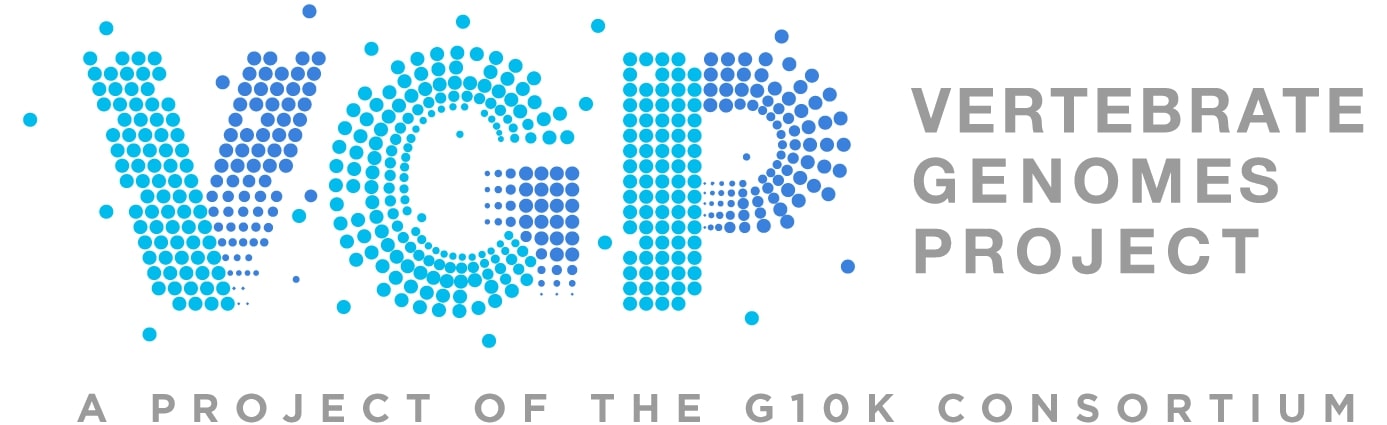 2025-02/logo-vgp.jpg