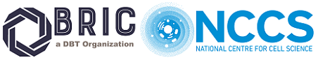 2025-02/nccs-logo.png