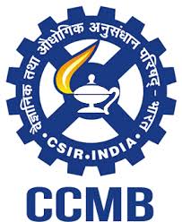 2025-05/ccmb.jpeg