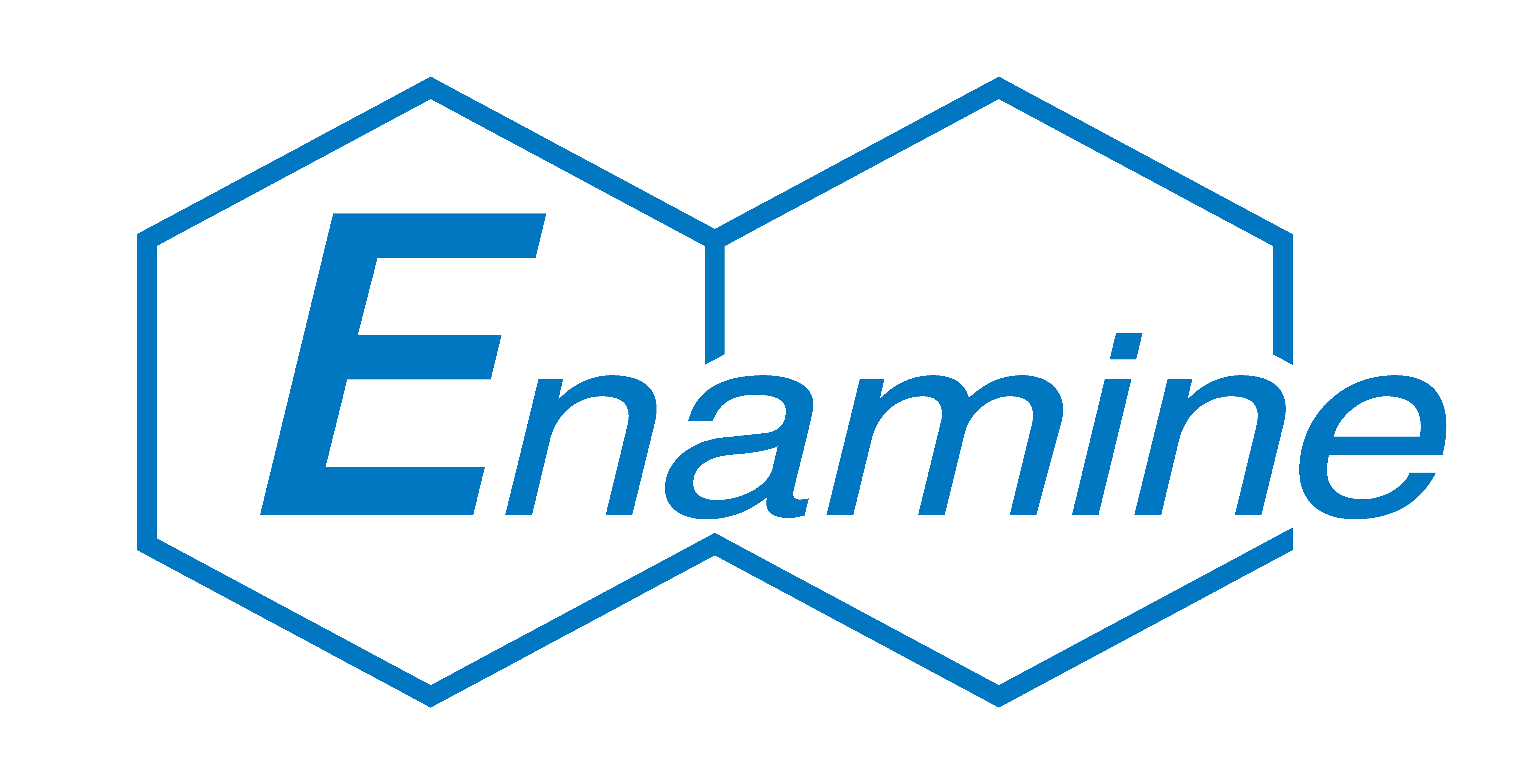 2025-05/logo(enamine)_cmyk_.png
