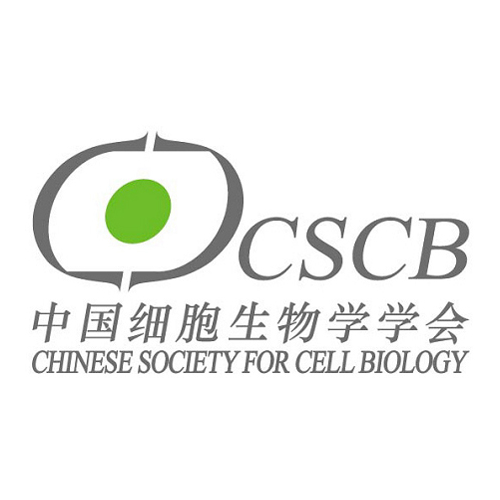 2025-07/cscblogo.png