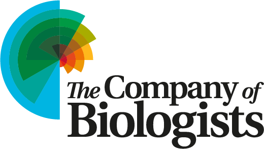 2026-06/alt-1-cob_logo_rgb_for-web-use.png