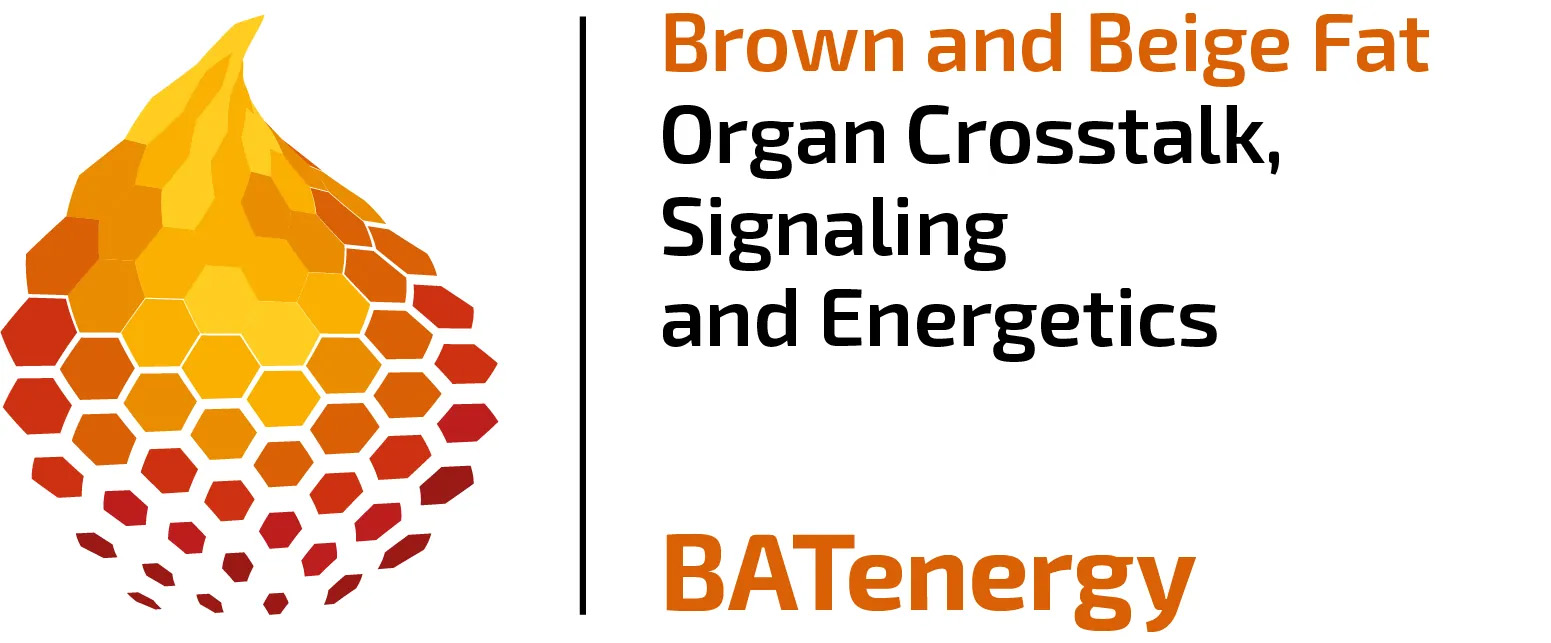 2026-09/trr333_batenergy_logo_new.jpg